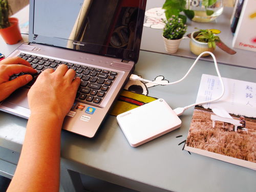 開學季便捷式移動硬盤選購指南 東芝移動硬盤評測